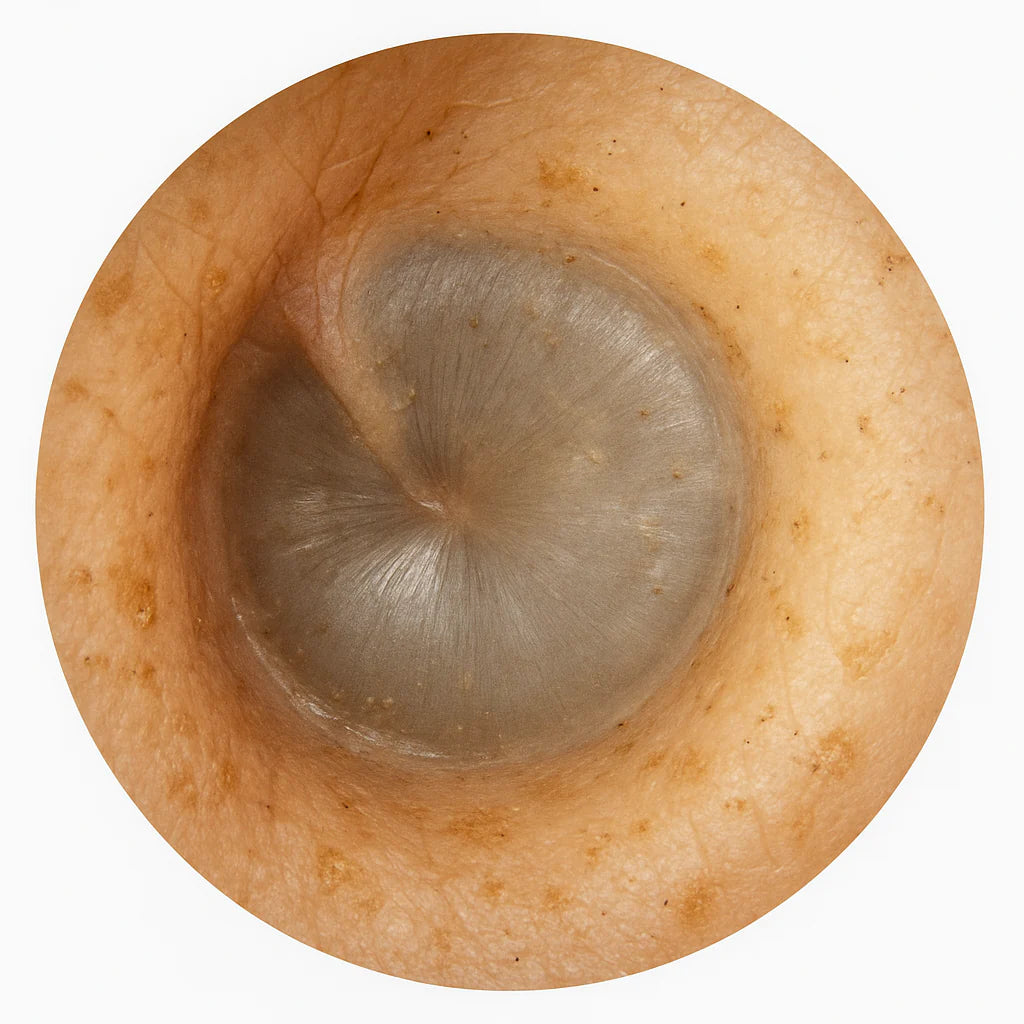 TESTRESULTAT 2025
Livore Utvecklad tillsammans med experter – för en trygg, modern och effektiv öronrengöring. Ger dig inte bara renare öron, utan också en klarare och starkare hörselupplevelse. Upptäck skillnaden redan idag!